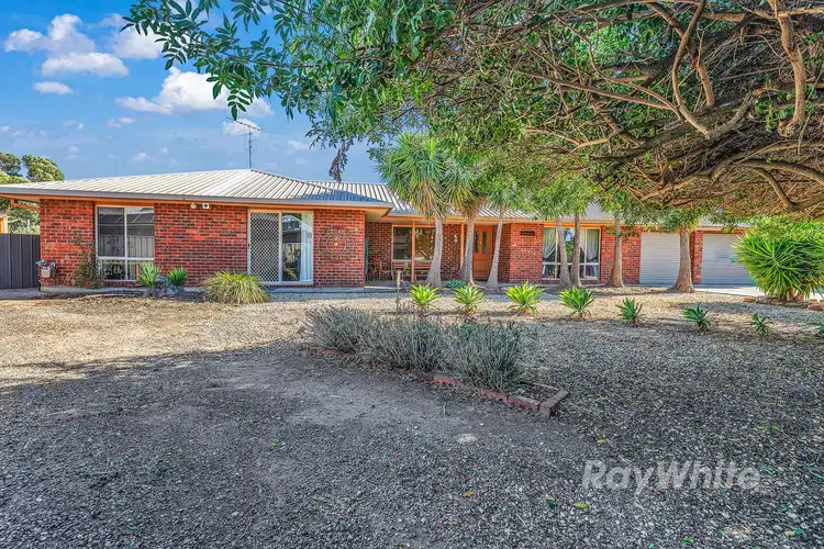 Main view of Homely house listing, 12 Rob Roy Court, Echuca VIC 3564