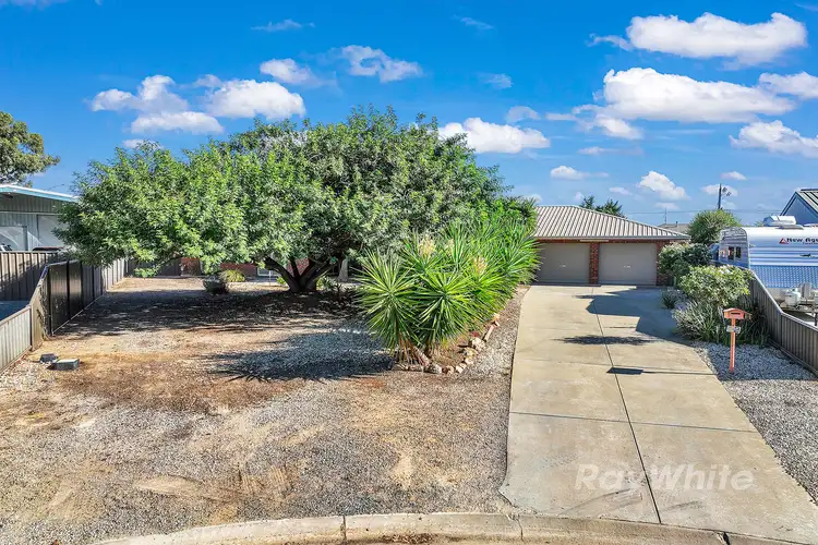 Second view of Homely house listing, 12 Rob Roy Court, Echuca VIC 3564