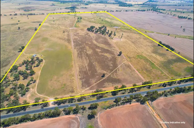Main view of Homely rural property listing, 1111 Newell Highway, Wyalong NSW 2671
