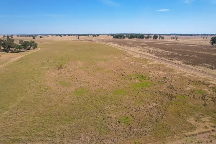 Second view of Homely rural property listing, 1111 Newell Highway, Wyalong NSW 2671