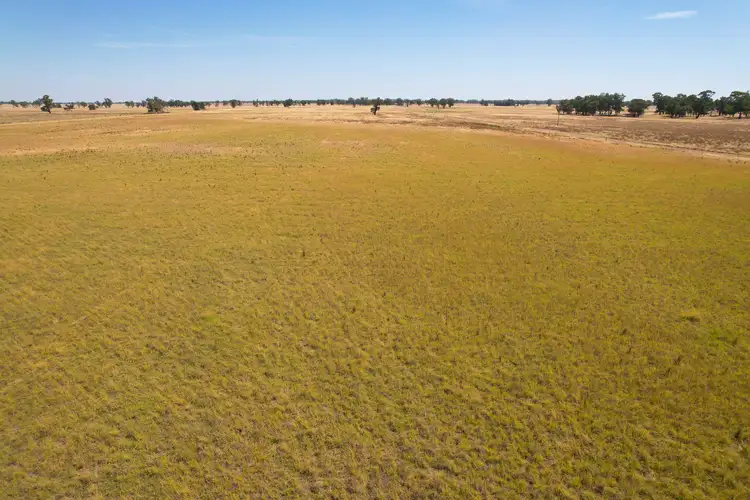 Third view of Homely rural property listing, 1111 Newell Highway, Wyalong NSW 2671