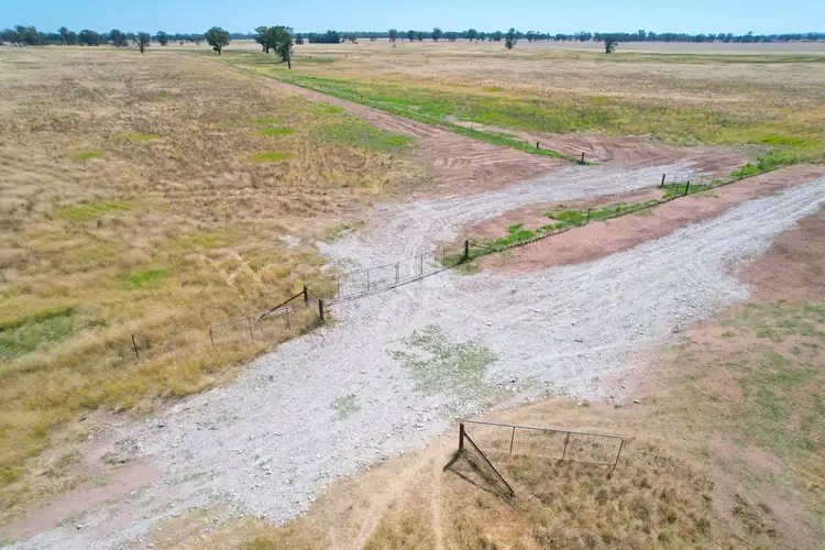 Sixth view of Homely rural property listing, 1111 Newell Highway, Wyalong NSW 2671