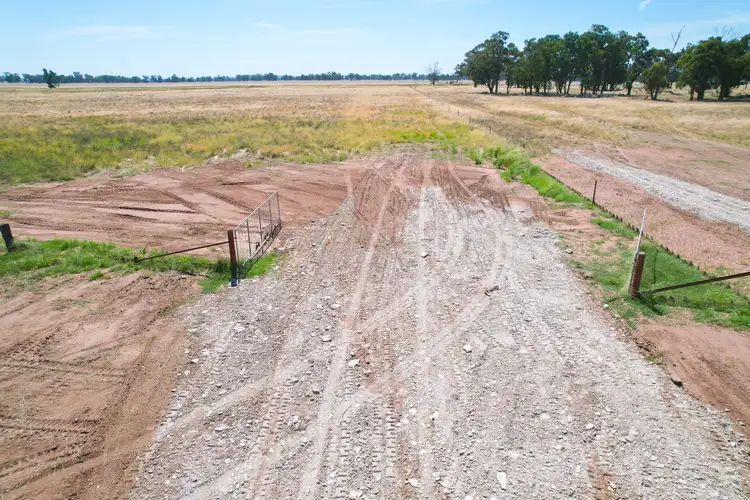 Seventh view of Homely rural property listing, 1111 Newell Highway, Wyalong NSW 2671