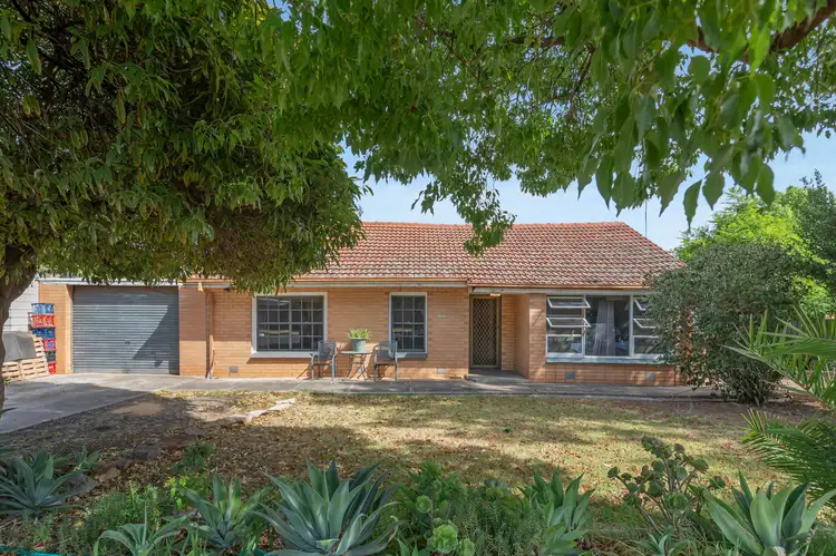 Second view of Homely house listing, 59 St Leonard Crescent, Elizabeth Downs SA 5113