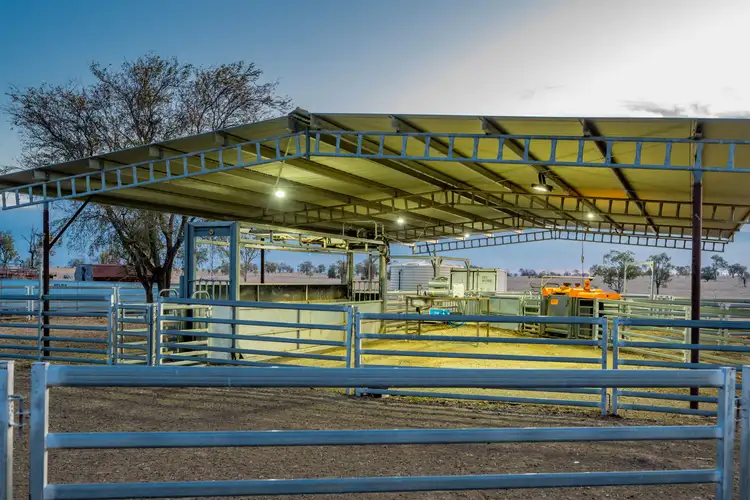 Sixth view of Homely rural property listing, 2238 Surat Development Road, Surat QLD 4417