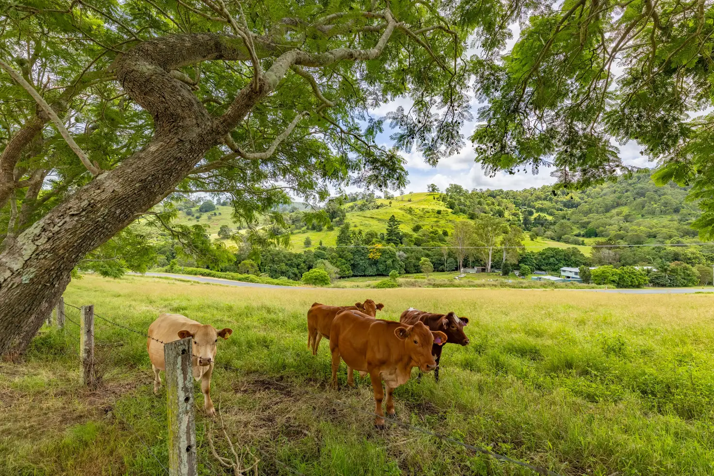 Main view of Homely house listing, 373-443 Delaney Creek Road, Delaneys Creek QLD 4514