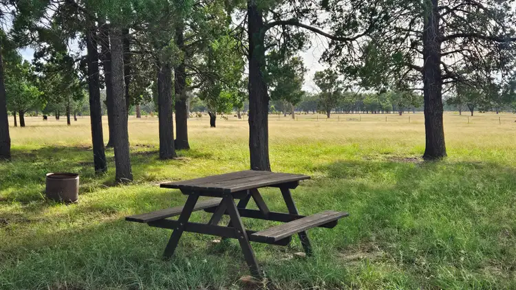 Second view of Homely rural property listing, 51 Dennison Park Road, Leyburn QLD 4365