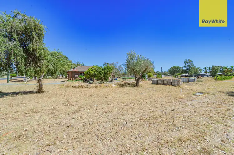 Fourth view of Homely house listing, 181 Lennard Street, Herne Hill WA 6056