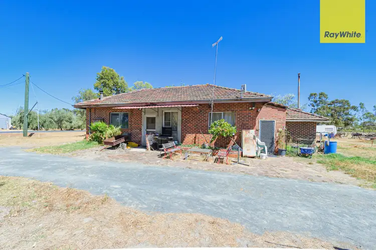 Seventh view of Homely house listing, 181 Lennard Street, Herne Hill WA 6056