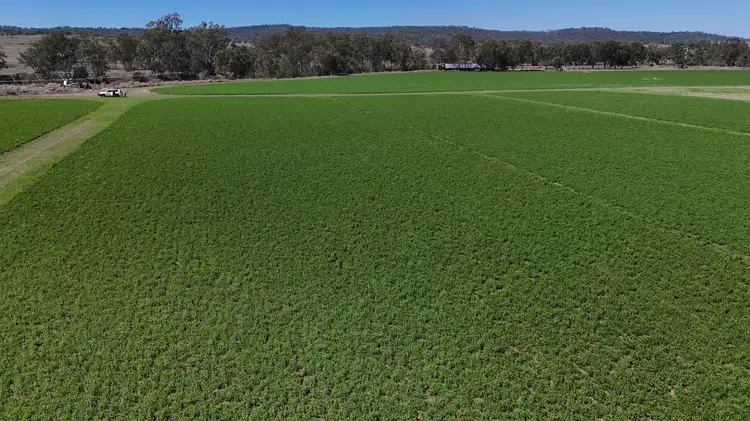 Main view of Homely rural property listing, 27904 Burnett Highway, Monto QLD 4630