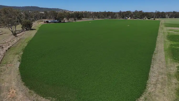 Second view of Homely rural property listing, 27904 Burnett Highway, Monto QLD 4630