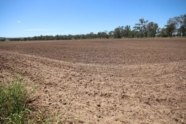 Seventh view of Homely rural property listing, 27904 Burnett Highway, Monto QLD 4630