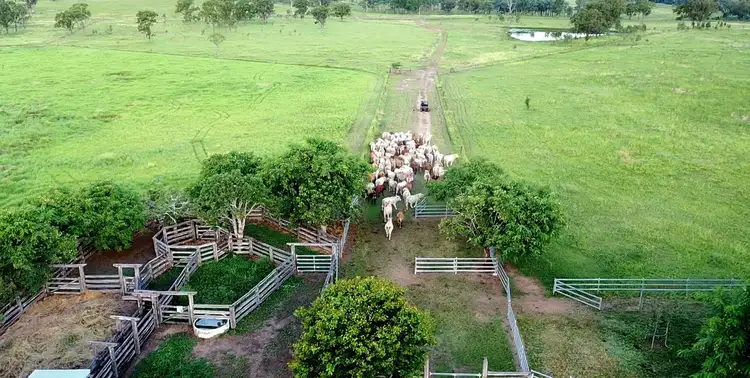 Third view of Homely rural property listing, 'Aura Park' North Pattens Road, Boynewood, Mundubbera QLD 4626