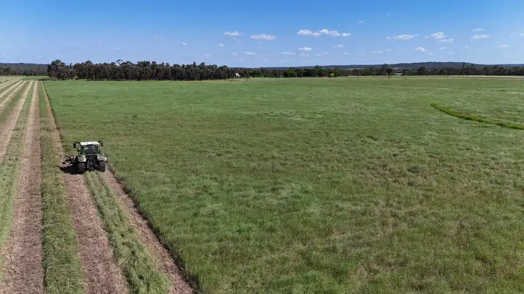 Seventh view of Homely rural property listing, 'Aura Park' North Pattens Road, Boynewood, Mundubbera QLD 4626