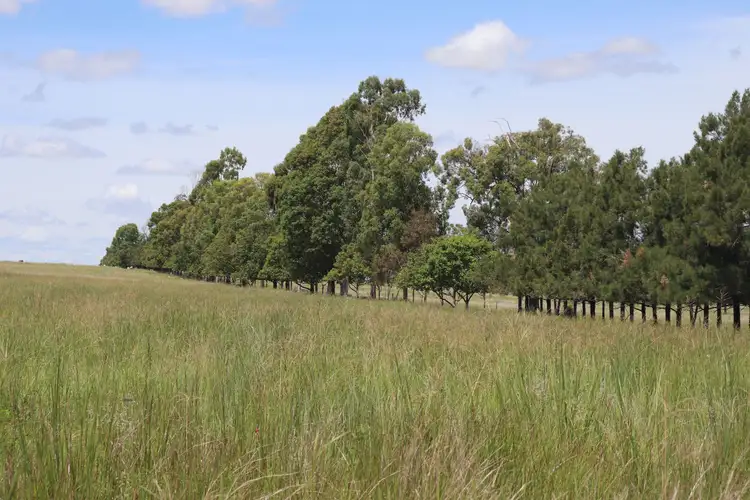 Fifth view of Homely rural property listing, 'Anthony's Block' Wagners Road, Boynewood, Mundubbera QLD 4626