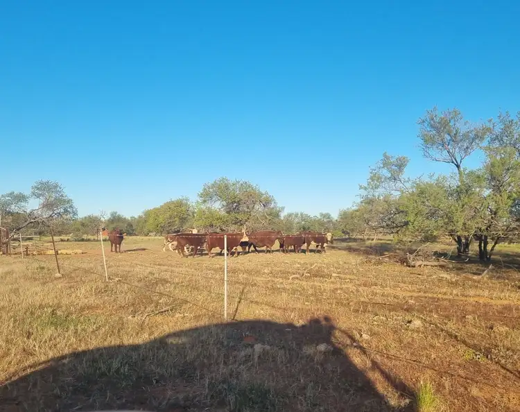 Third view of Homely rural property listing, Koonmarra Station, Meekatharra WA 6642