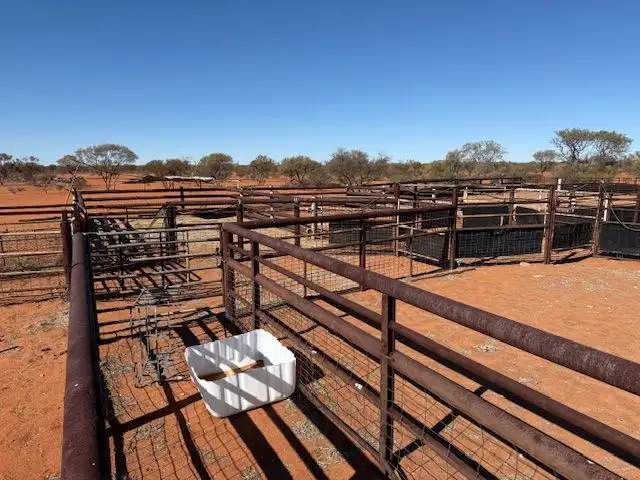 Fifth view of Homely rural property listing, Koonmarra Station, Meekatharra WA 6642