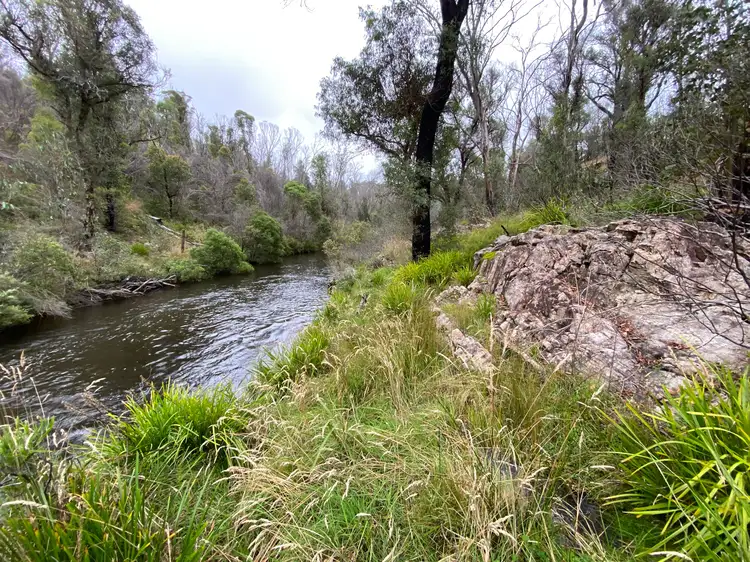 Sixth view of Homely rural property listing, 194 Point Lookout Road Ebor, Dorrigo NSW 2453