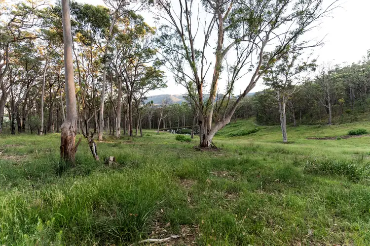 Seventh view of Homely land listing, 1157 Megalong Road, Megalong NSW 2785