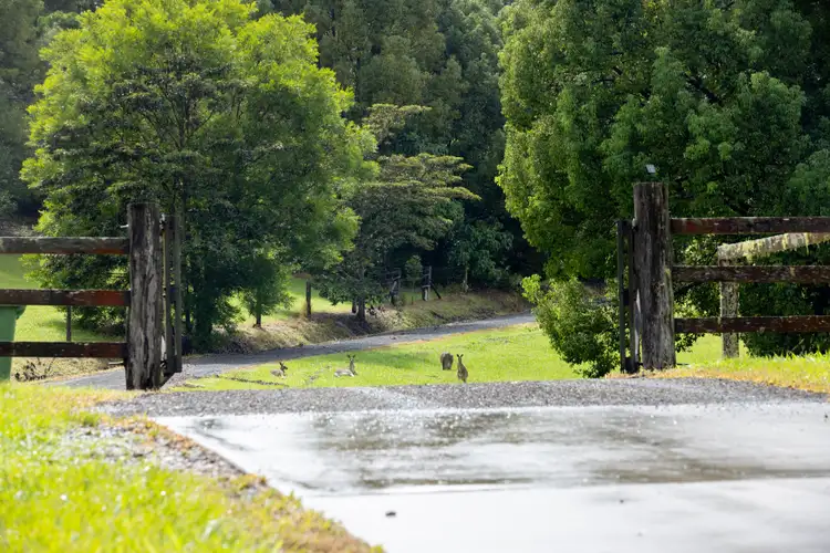 Fourth view of Homely rural property listing, 15 Sallwood Court, Pinbarren QLD 4568