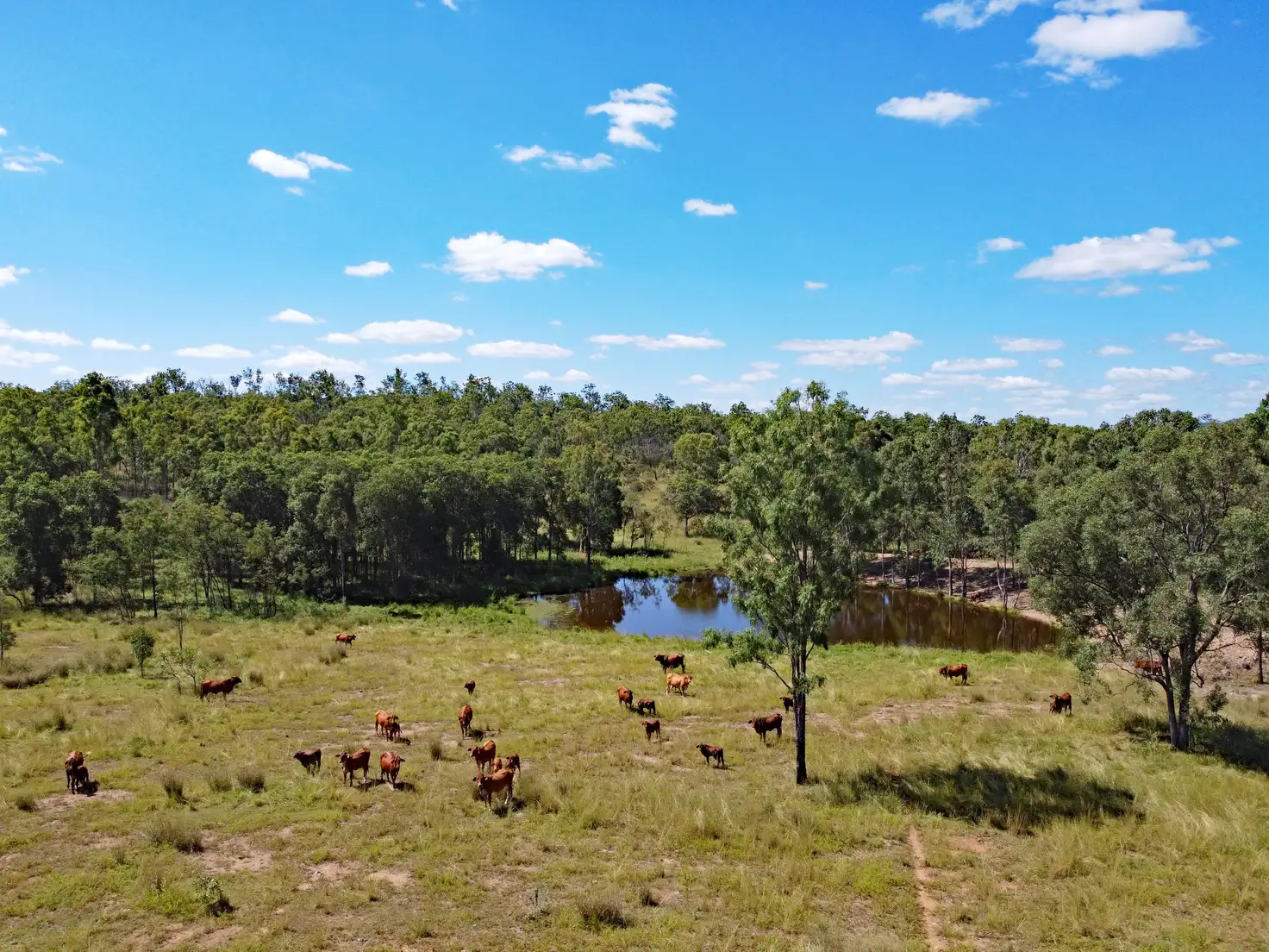 Main view of Homely rural property listing, 4995 Boondooma Road, Toondahra QLD 4625