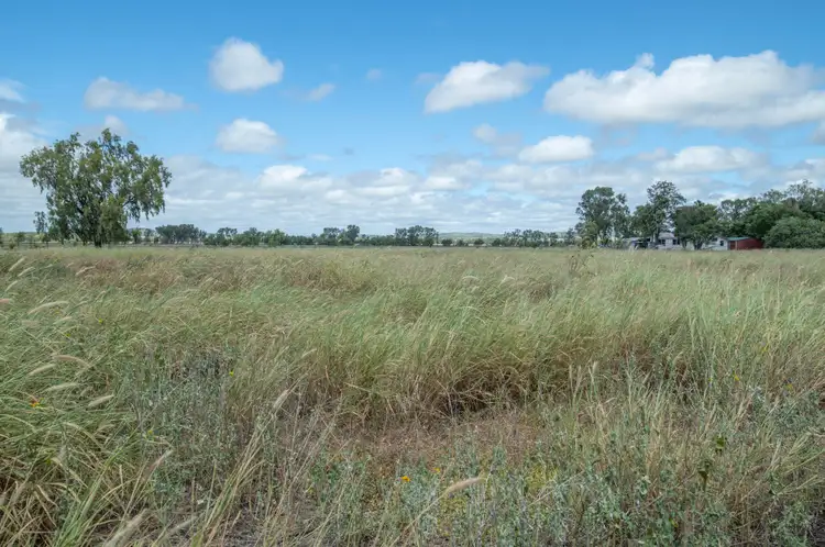 Seventh view of Homely rural property listing, 133 Aerodrome Road, Thangool QLD 4716