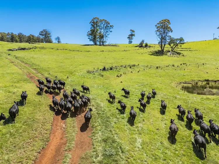 Second view of Homely rural property listing, 4590 Brackendale Road, Nowendoc NSW 2354