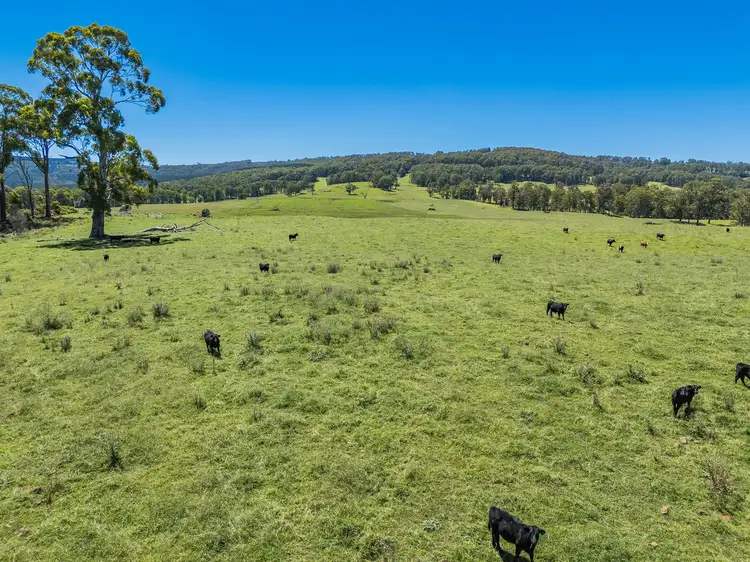 Sixth view of Homely rural property listing, 4590 Brackendale Road, Nowendoc NSW 2354
