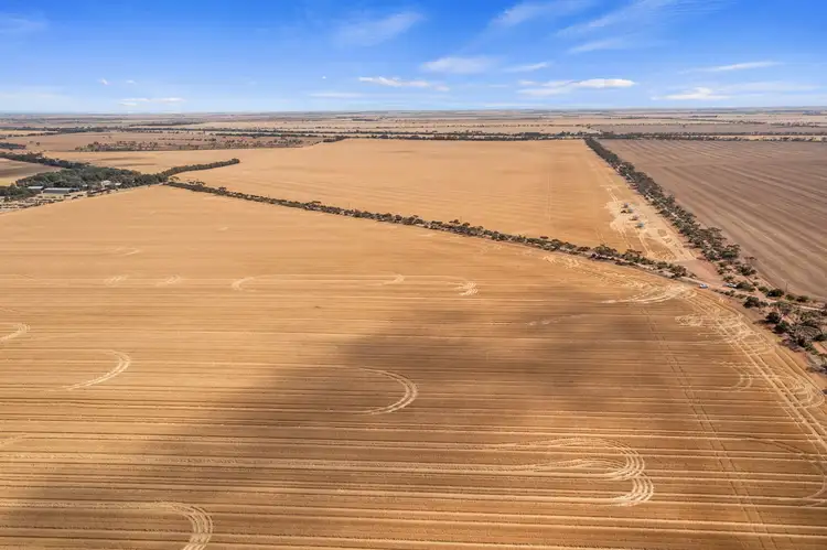 Main view of Homely rural property listing, Section 180 Rodda Road, Boors Plain SA 5554