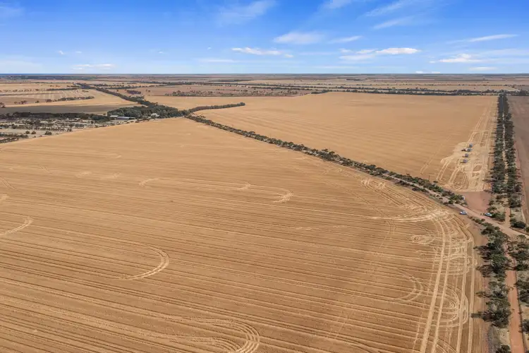 Second view of Homely rural property listing, Section 180 Rodda Road, Boors Plain SA 5554