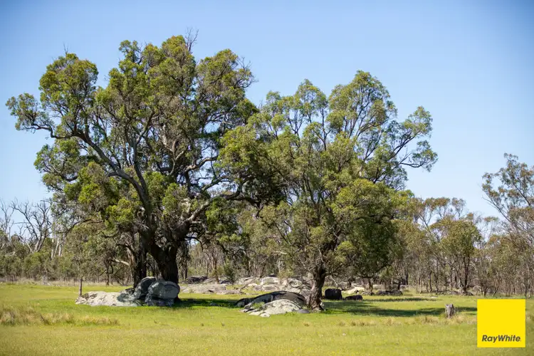 Fourth view of Homely house listing, 454 Torryburn Road, Uralla NSW 2358