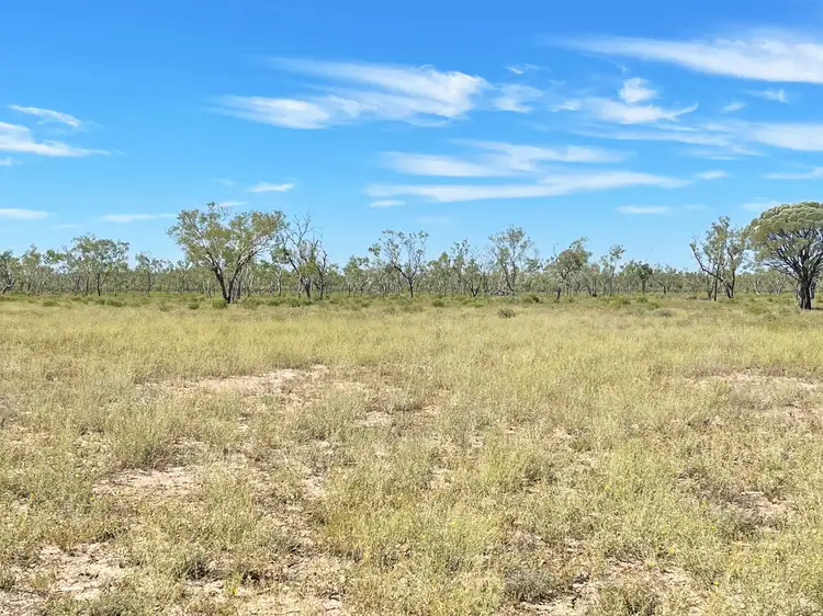 Fourth view of Homely rural property listing, 0 Capricorn Highway, Barcaldine QLD 4725