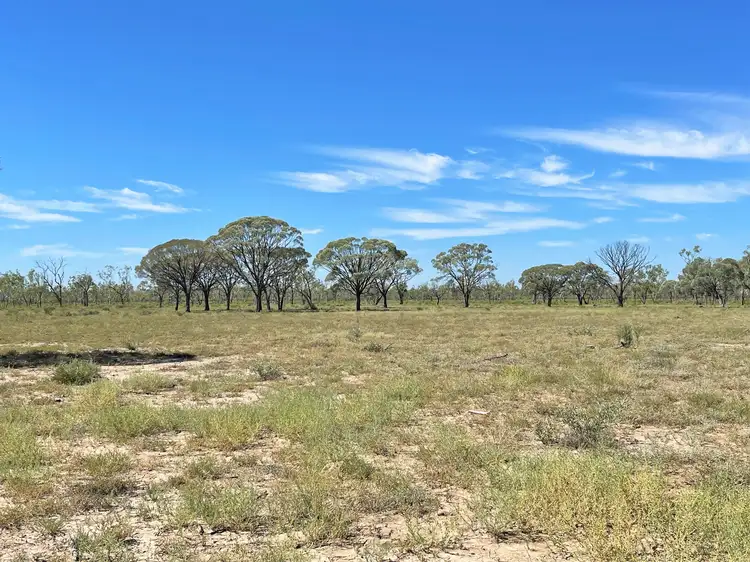 Fifth view of Homely rural property listing, 0 Capricorn Highway, Barcaldine QLD 4725