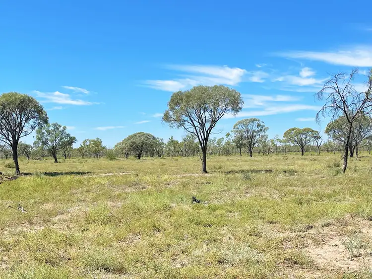 Sixth view of Homely rural property listing, 0 Capricorn Highway, Barcaldine QLD 4725