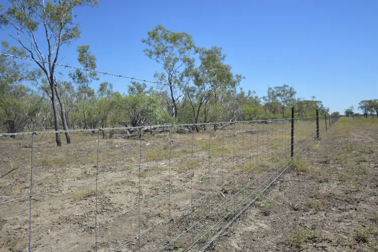 Seventh view of Homely rural property listing, 0 Capricorn Highway, Barcaldine QLD 4725