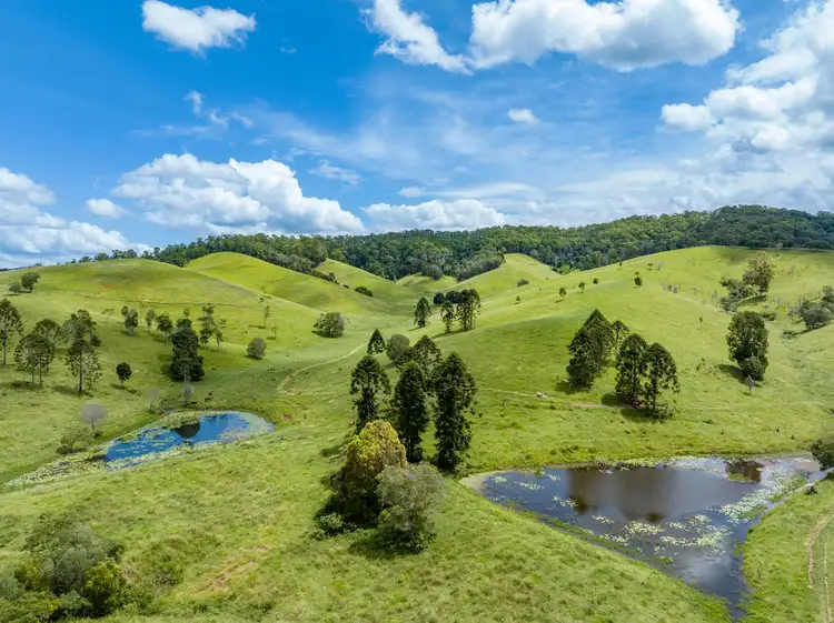 Main view of Homely rural property listing, 136 Barsby Road, Imbil QLD 4570