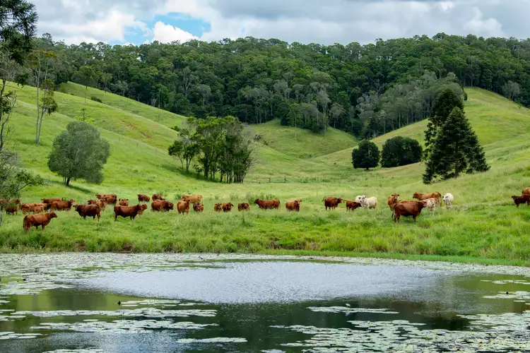 Second view of Homely rural property listing, 136 Barsby Road, Imbil QLD 4570