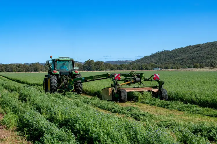 Seventh view of Homely rural property listing, 5603 Bruxner Way, Tenterfield NSW 2372