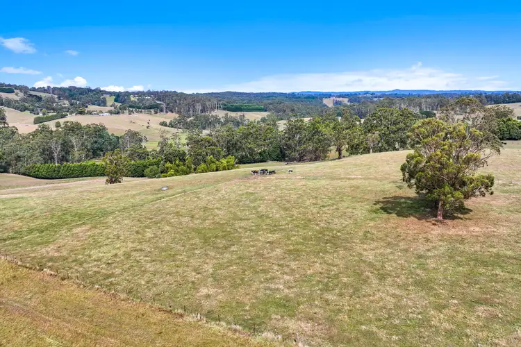 Third view of Homely rural property listing, 56 Gleeson Road, Jindivick VIC 3818