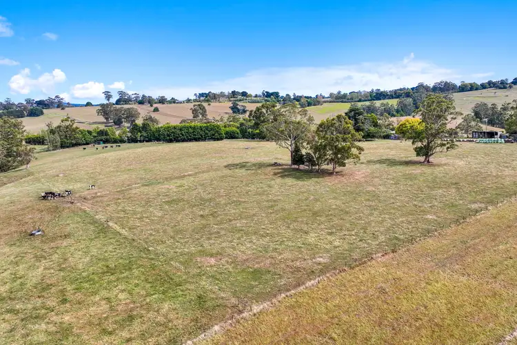 Fourth view of Homely rural property listing, 56 Gleeson Road, Jindivick VIC 3818