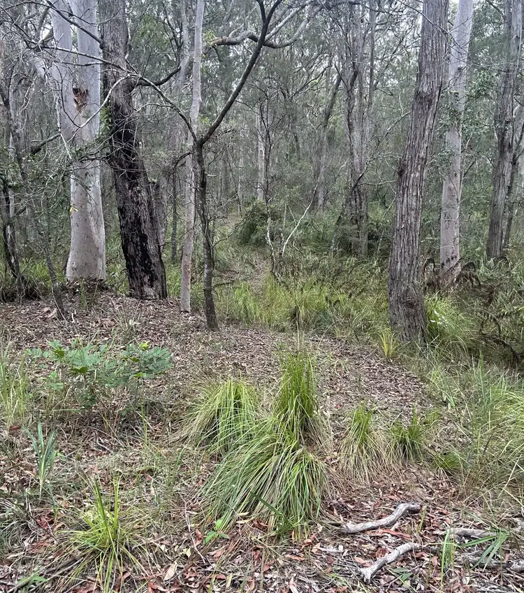 Second view of Homely rural property listing, Lot 991 Estuary Way, North Arm Cove NSW 2324