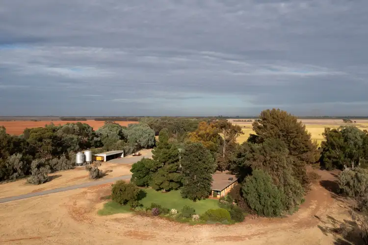 Main view of Homely rural property listing, 242 Barber Road, Benerembah NSW 2680