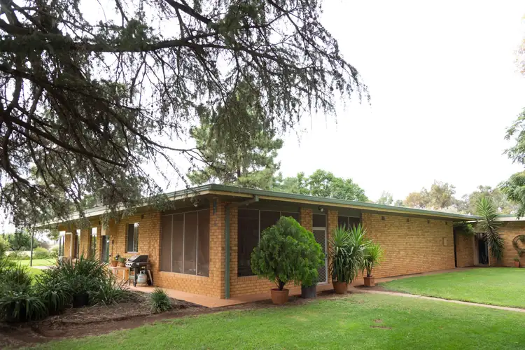 Second view of Homely rural property listing, 242 Barber Road, Benerembah NSW 2680