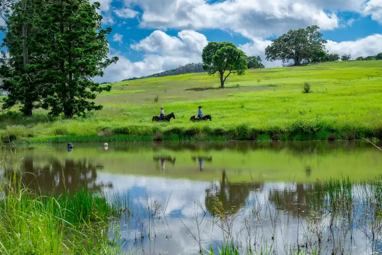 Third view of Homely rural property listing, 85 Caulleys Road, Gunalda QLD 4570