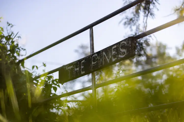 "The Pines" 130 Aherns Road, Conondale QLD 4552