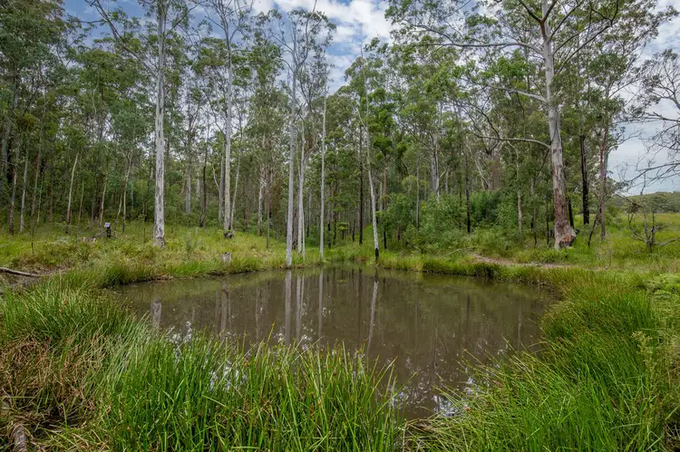 Third view of Homely rural property listing, 8591 Armidale Road, Dorrigo NSW 2453