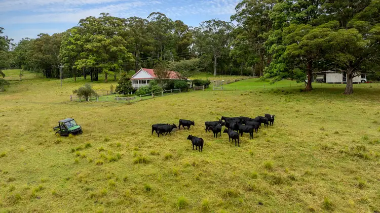 Fourth view of Homely rural property listing, 8591 Armidale Road, Dorrigo NSW 2453