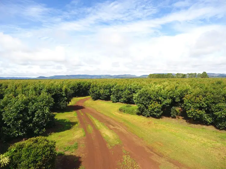 Seventh view of Homely rural property listing, Address available on request