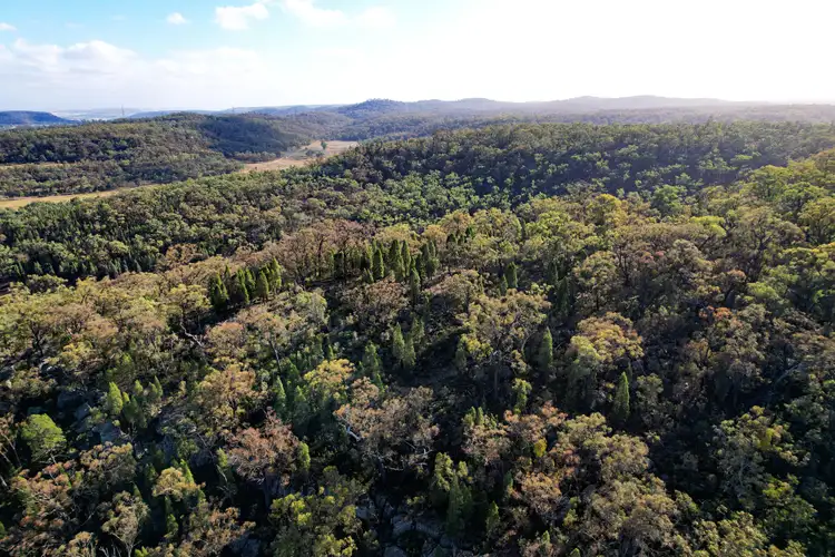Fourth view of Homely rural property listing, 1845 Cullingral Road, Merriwa NSW 2329