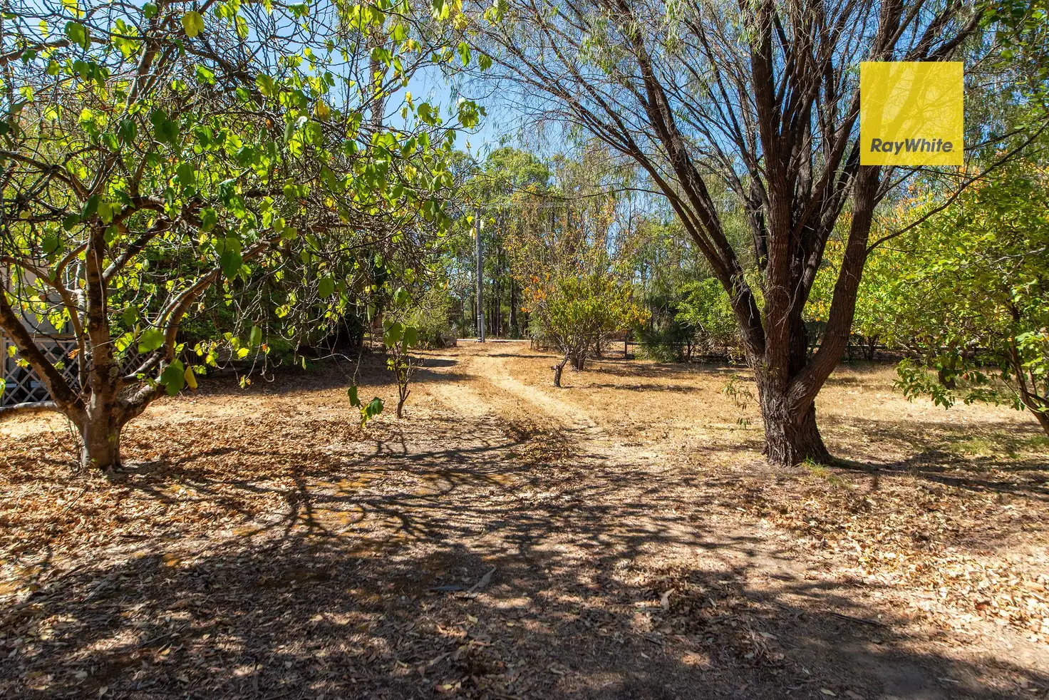 Main view of Homely land listing, 46 North Street, Nannup WA 6275